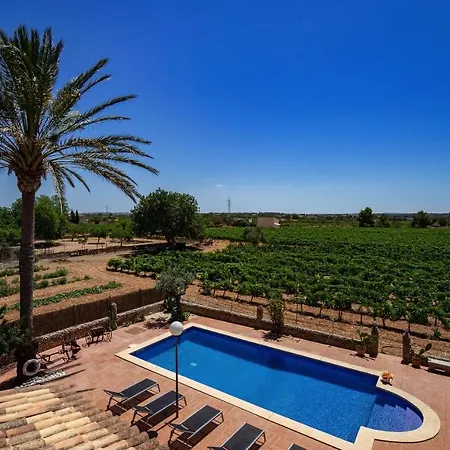 Vinyes Grau Villa *