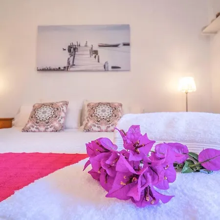 Vinyes Grau Villa Sencelles