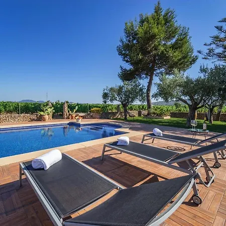 Villa Vinyes Grau